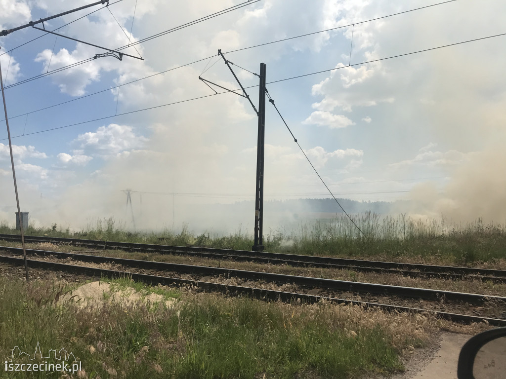 Wielki pożar w gm. Grzmiąca. W ogniu pola, drzewa i wagon