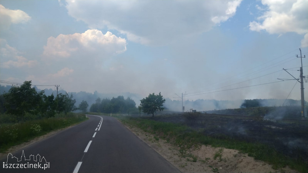 Wielki pożar w gm. Grzmiąca. W ogniu pola, drzewa i wagon