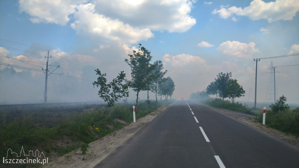 Wielki pożar w gm. Grzmiąca. W ogniu pola, drzewa i wagon