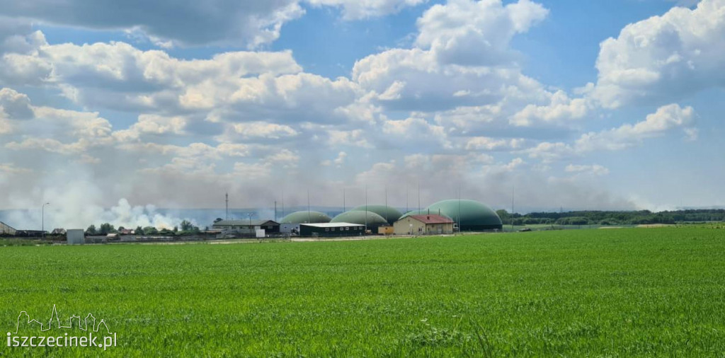 Wielki pożar w gm. Grzmiąca. W ogniu pola, drzewa i wagon