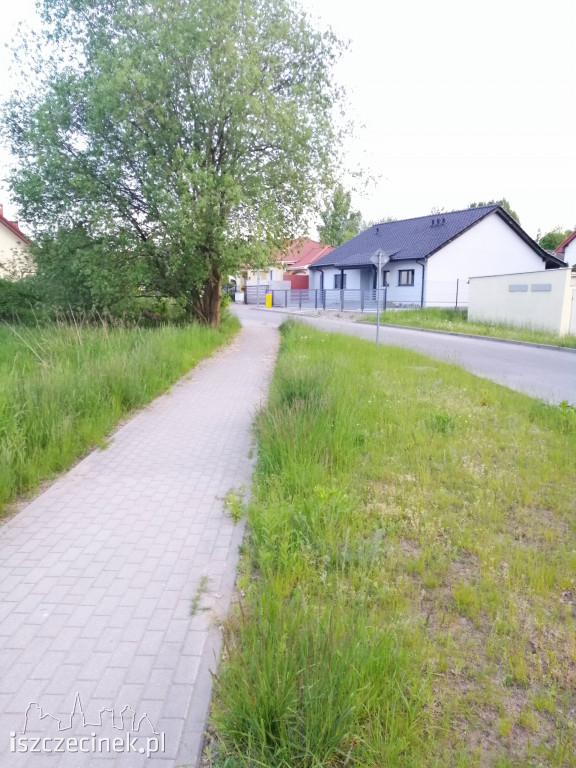 Co z koszeniem traw?