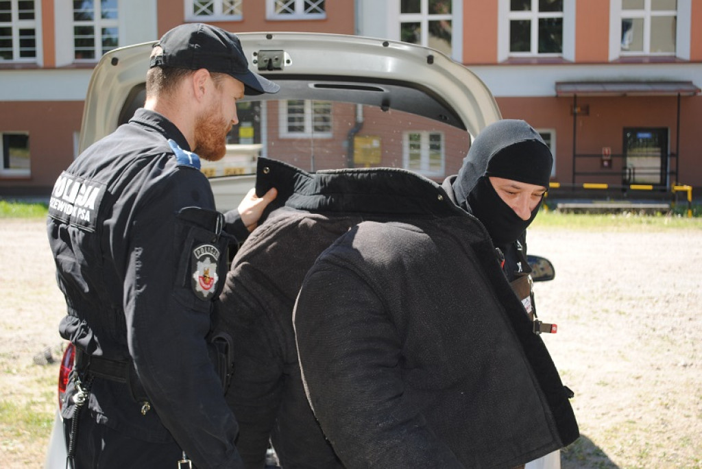 Pracowity dzień policyjnych psów
