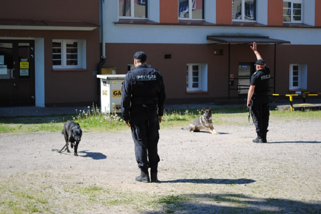 Pracowity dzień policyjnych psów