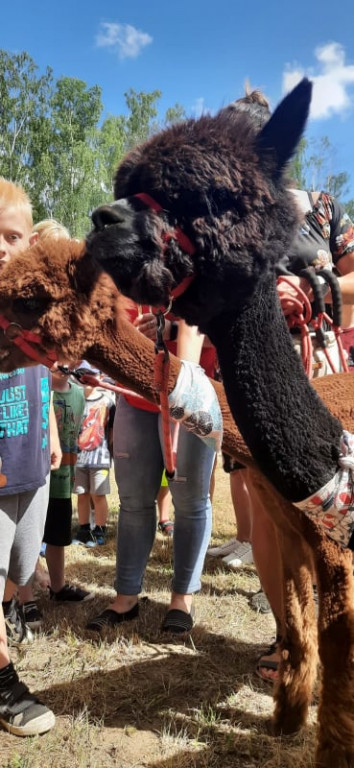 Dzieci ze Starego Chwalimia powitały wakacje!