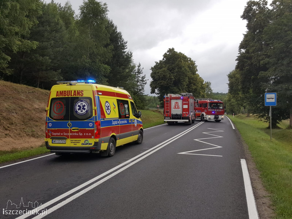 Zderzenie dwóch samochodów na DK-11. Są ranni