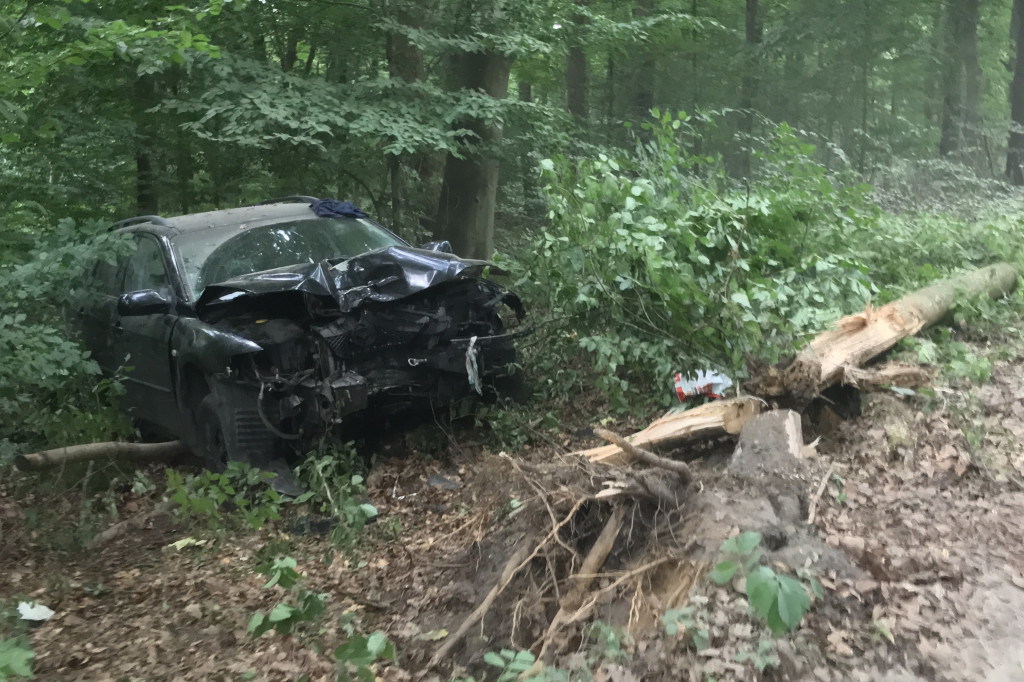 Za szybko na Mysią Wyspę? Mazda roztrzaskała się na drzewach