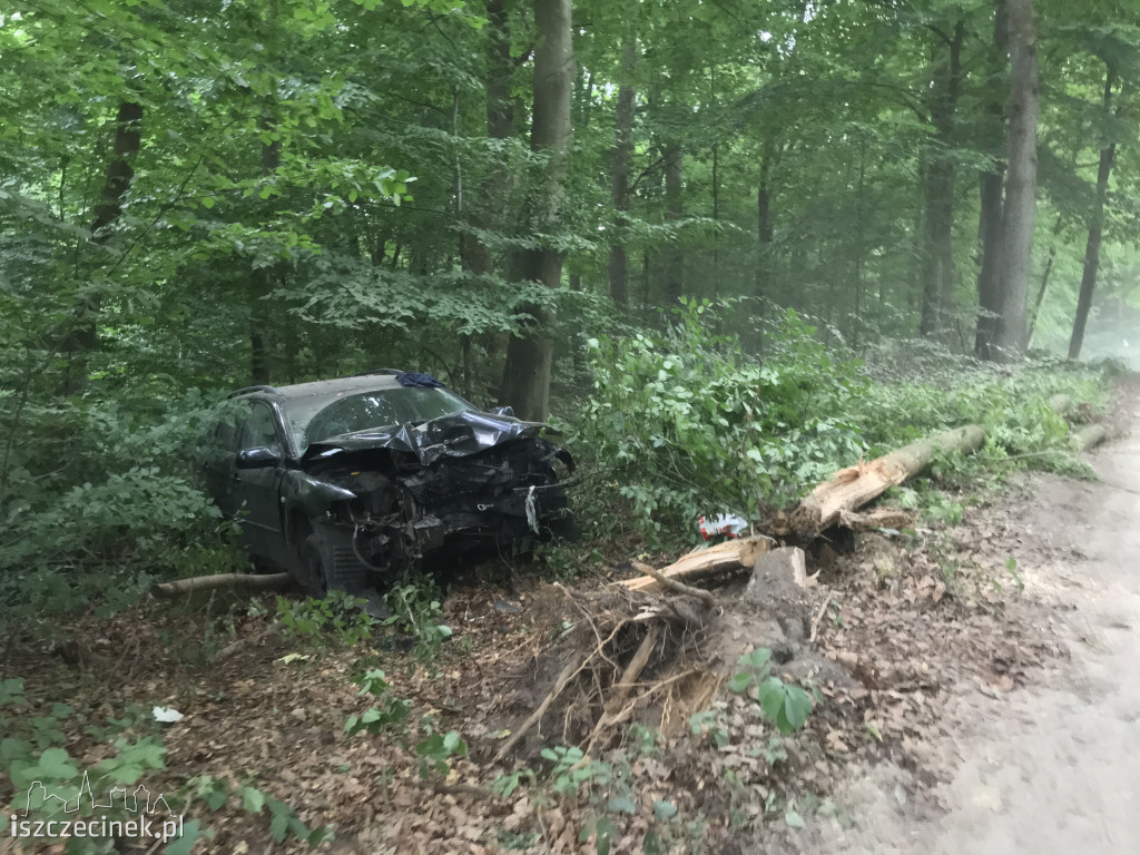 Za szybko na Mysią Wyspę? Mazda roztrzaskała się na drzewach