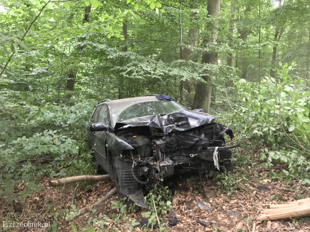 Za szybko na Mysią Wyspę? Mazda roztrzaskała się na drzewach