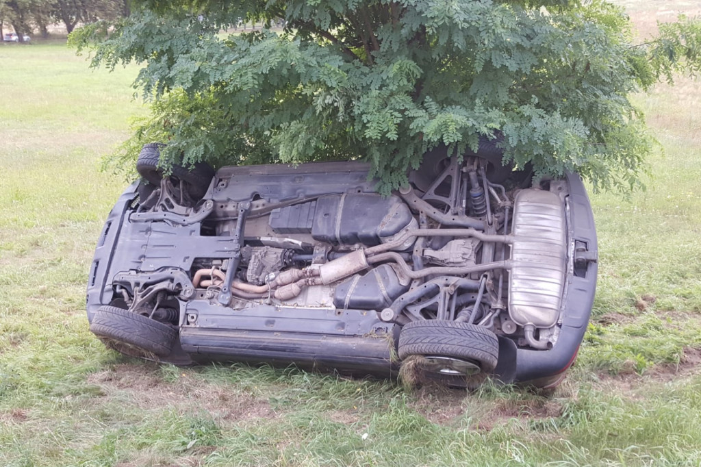 Auto uderzyło w drzewo. Jechała nim rodzina z dziećmi [ZDJĘCIA]
