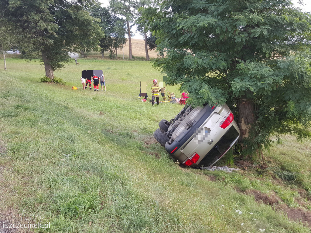 Auto uderzyło w drzewo. Jechała nim rodzina z dziećmi [ZDJĘCIA]