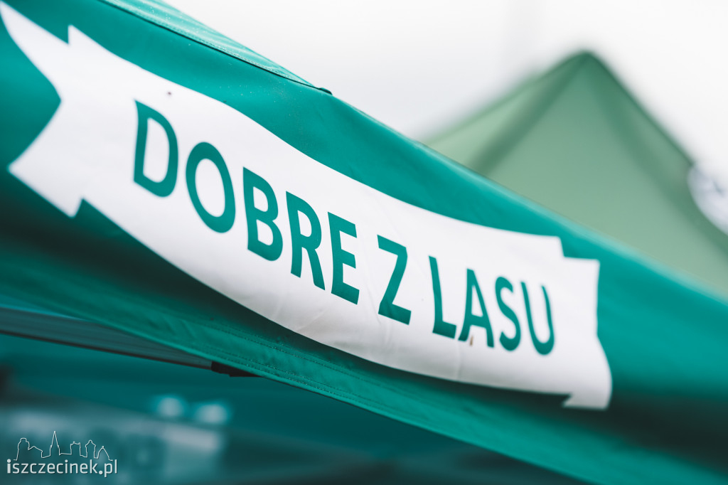 Leśnicy z Darami Lasu opanowali plac koncertowy.