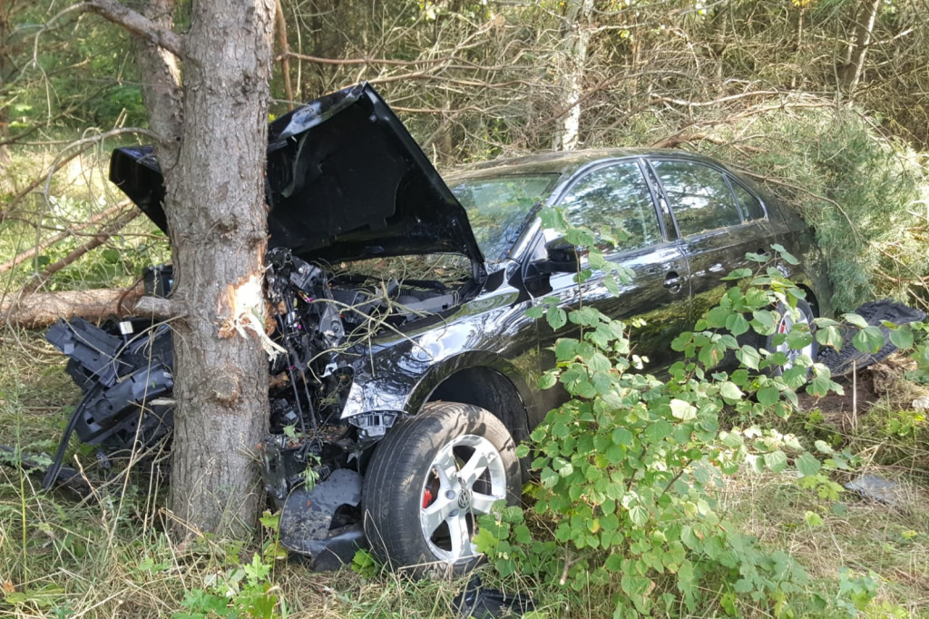 Samochód roztrzaskał się na drzewie. Co się stało z kierowcą?