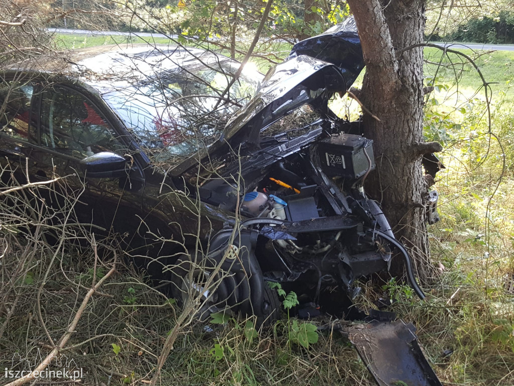 Samochód roztrzaskał się na drzewie. Co się stało z kierowcą?