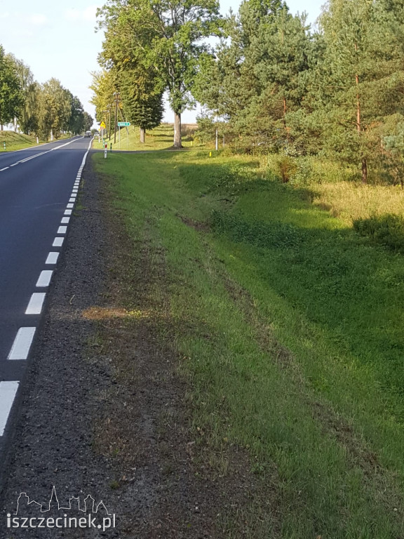 Samochód roztrzaskał się na drzewie. Co się stało z kierowcą?
