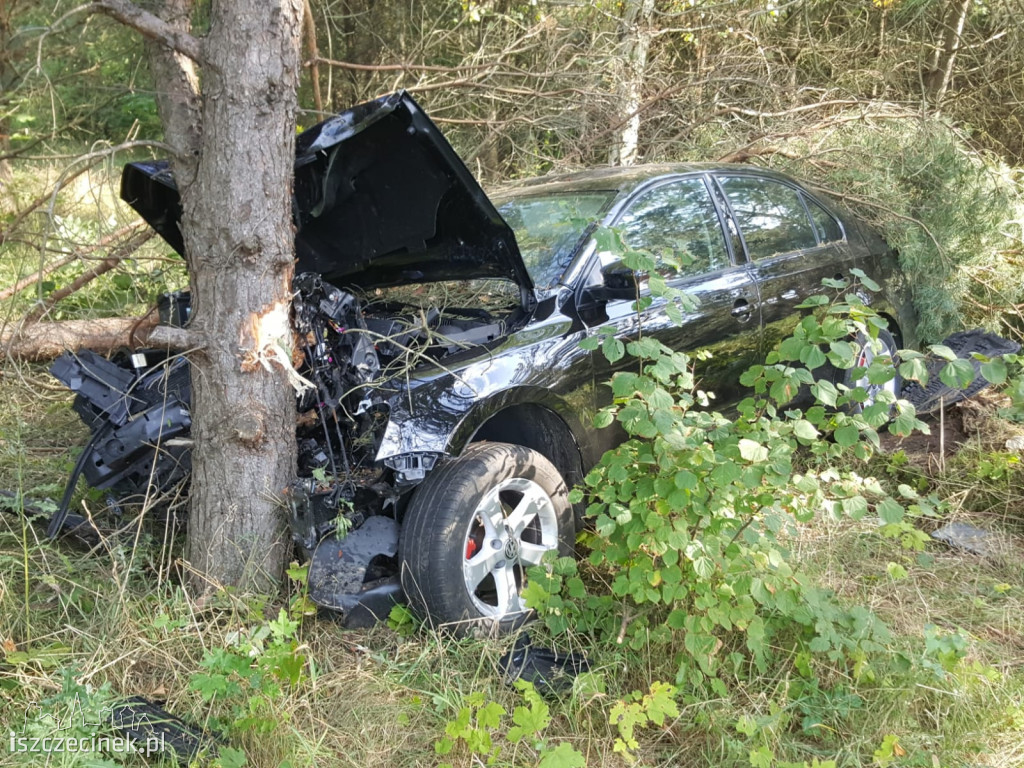 Samochód roztrzaskał się na drzewie. Co się stało z kierowcą?