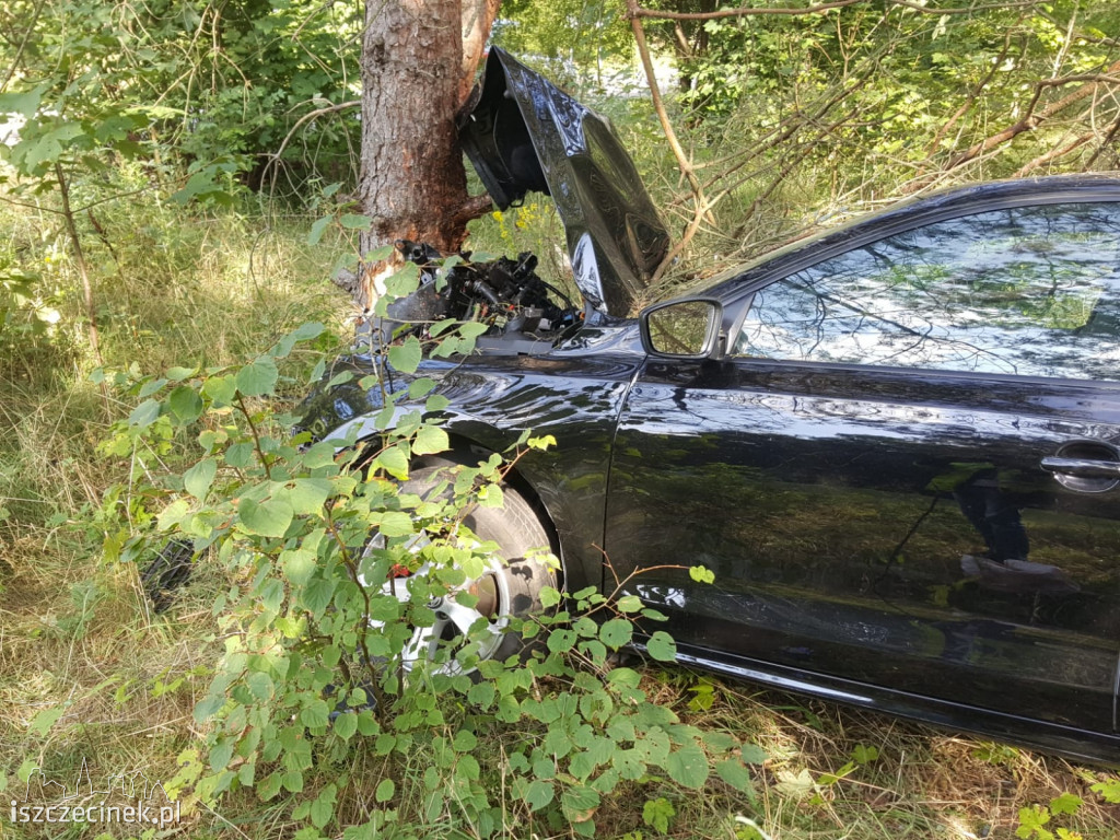 Samochód roztrzaskał się na drzewie. Co się stało z kierowcą?