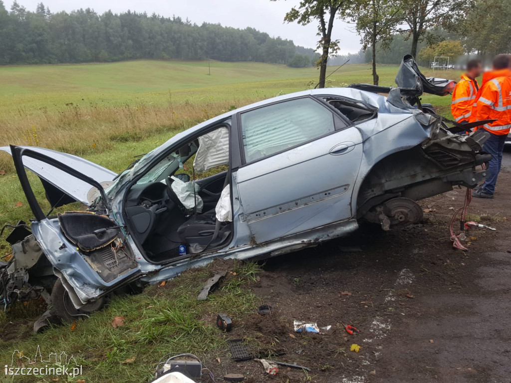 Citroen dachował i uderzył w drzewo. Wypadek na krajowej 
