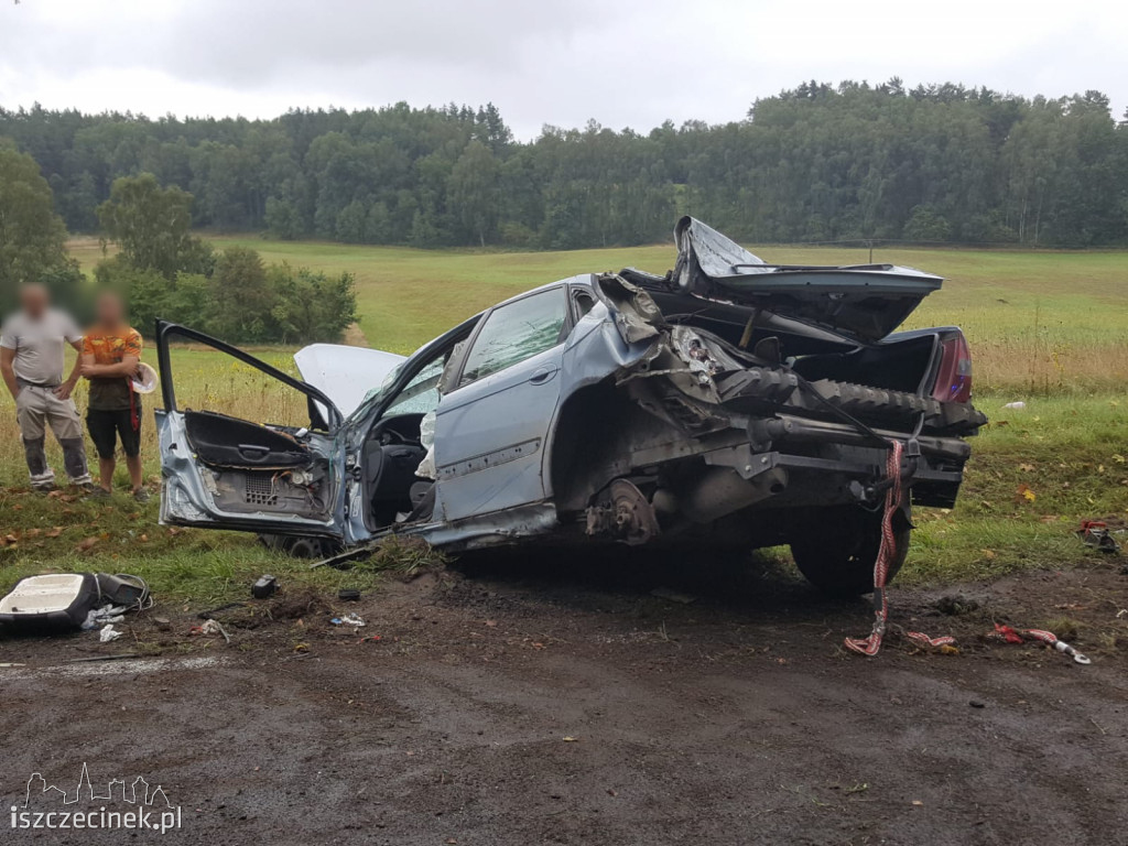 Citroen dachował i uderzył w drzewo. Wypadek na krajowej 