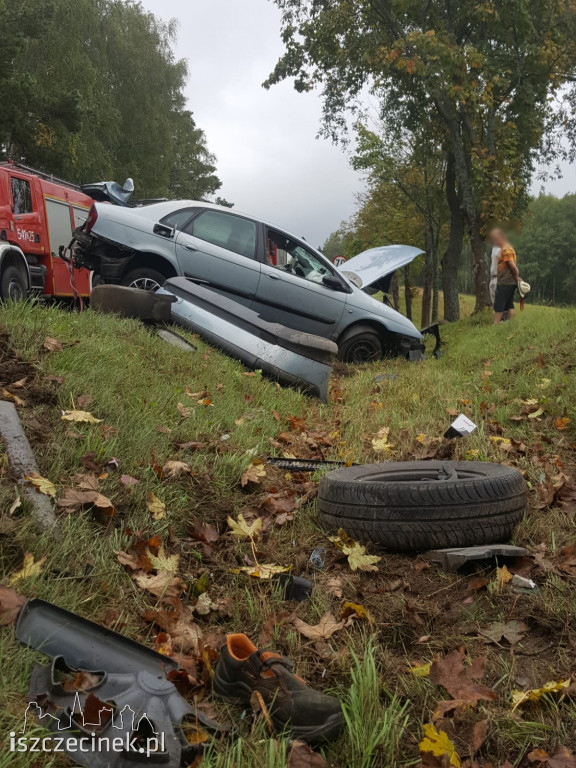Citroen dachował i uderzył w drzewo. Wypadek na krajowej 