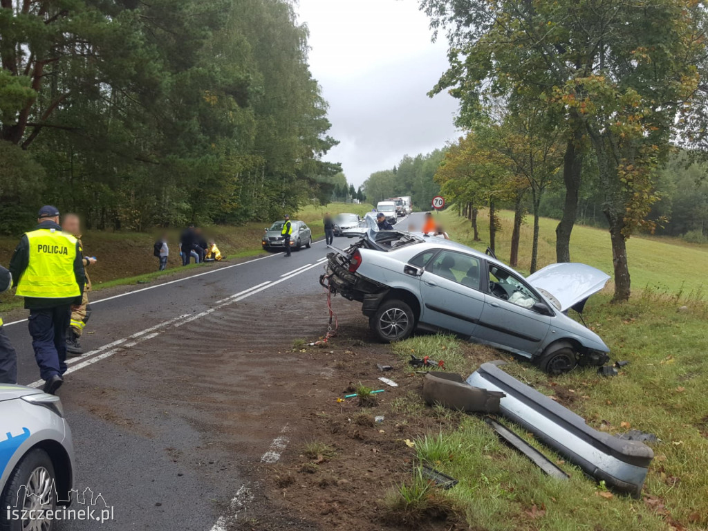Citroen dachował i uderzył w drzewo. Wypadek na krajowej 