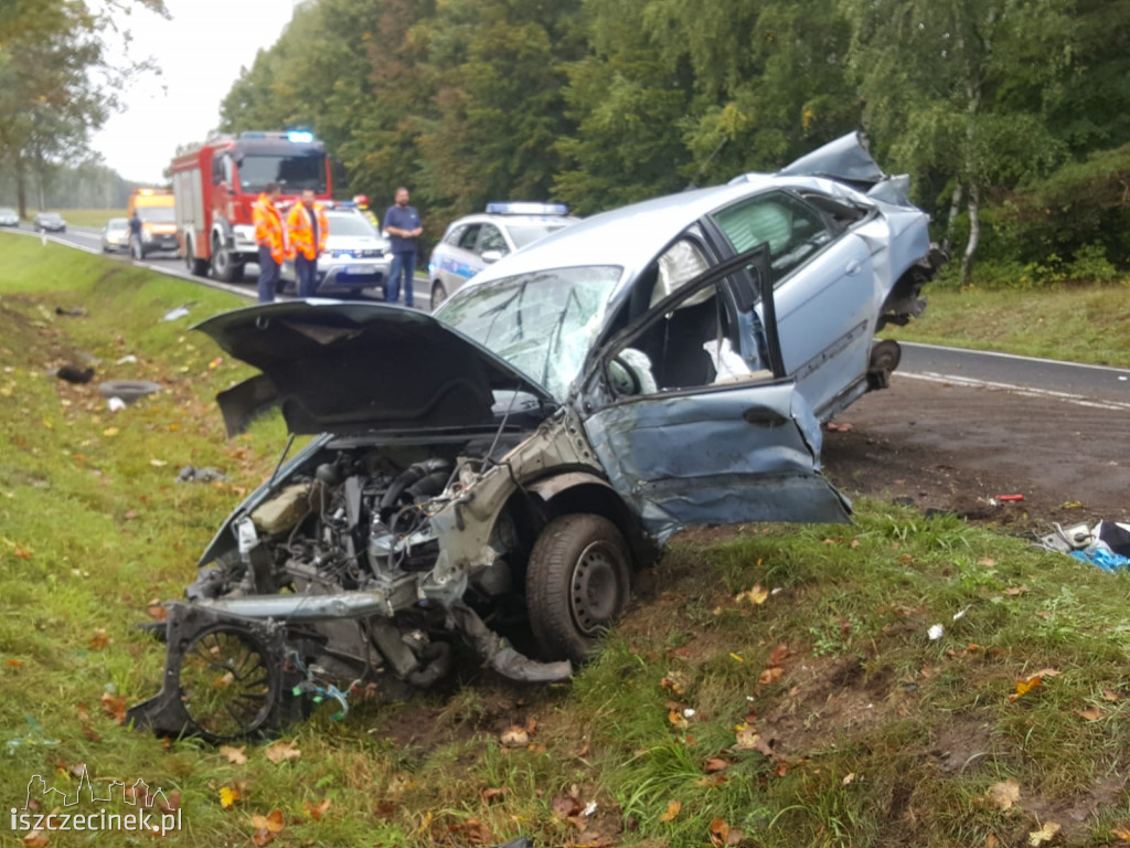 Citroen dachował i uderzył w drzewo. Wypadek na krajowej 