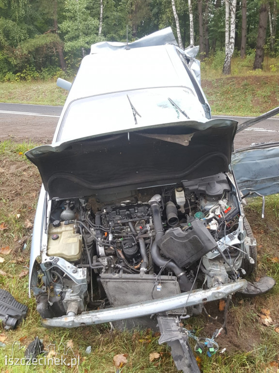 Citroen dachował i uderzył w drzewo. Wypadek na krajowej 