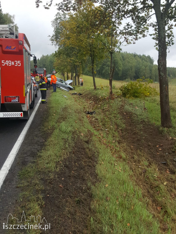 Citroen dachował i uderzył w drzewo. Wypadek na krajowej 