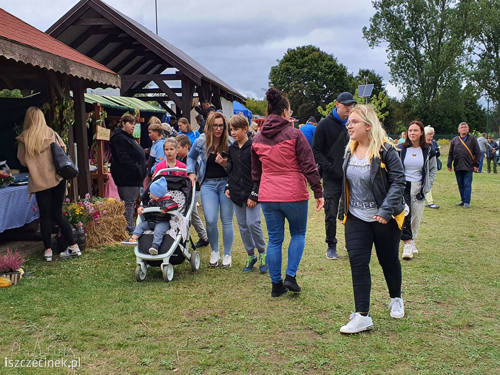 Rodzinny Festiwal Dyni w Radaczu