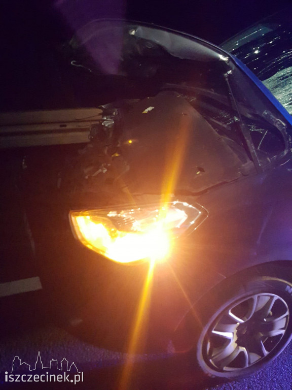 Samochód osobowy zderzył się z jeleniem
