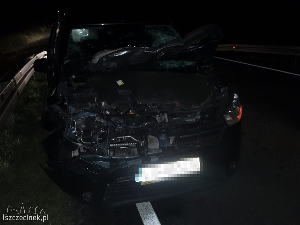 Samochód osobowy zderzył się z jeleniem