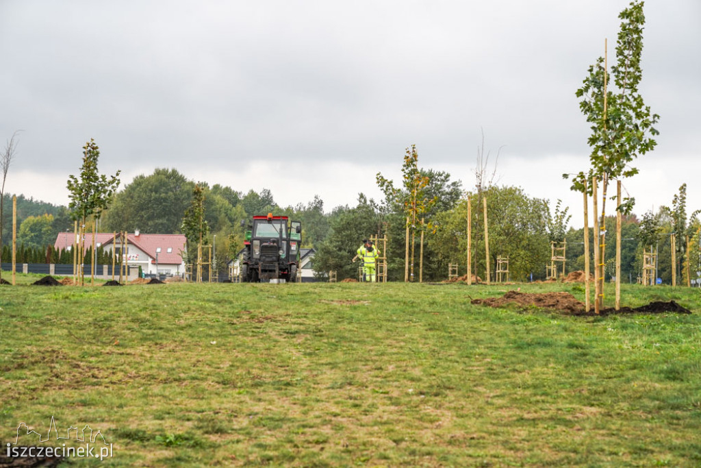 Osiedle Zachód będzie miało swój park. Już sadzą drzewa