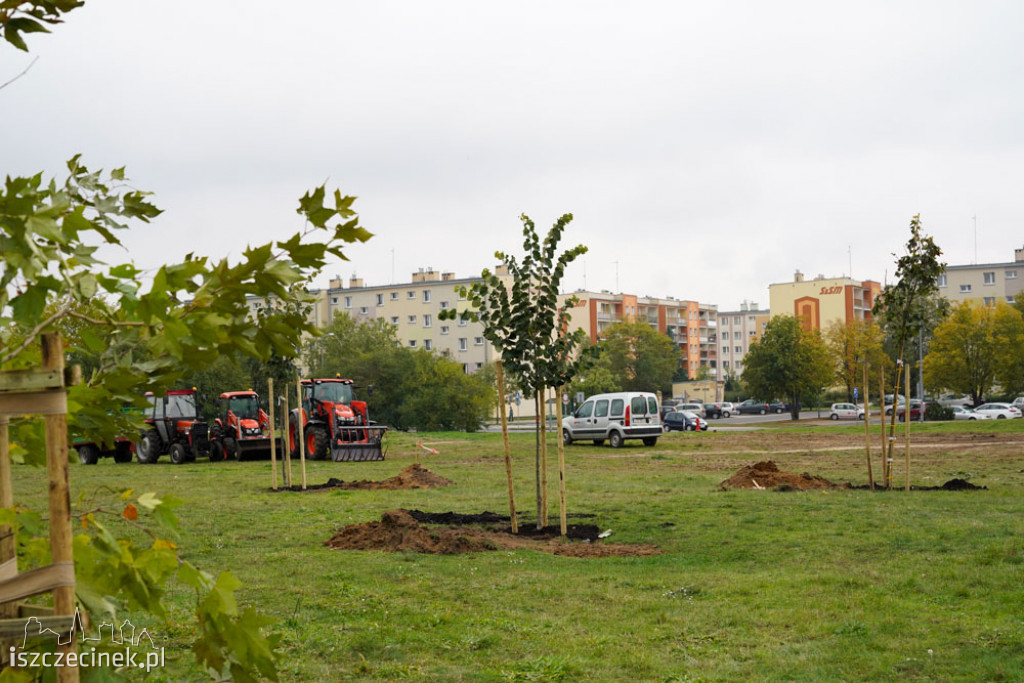 Osiedle Zachód będzie miało swój park. Już sadzą drzewa