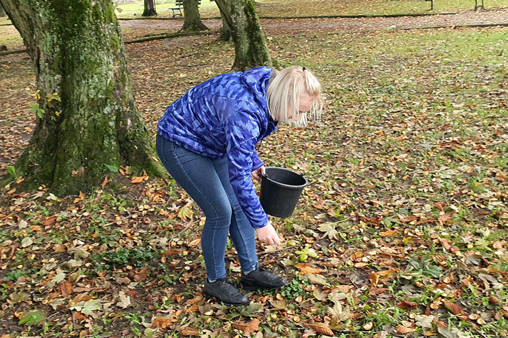 MukoNiedzielki walczą o życie. Pomóc może zbiórka… kasztanów!