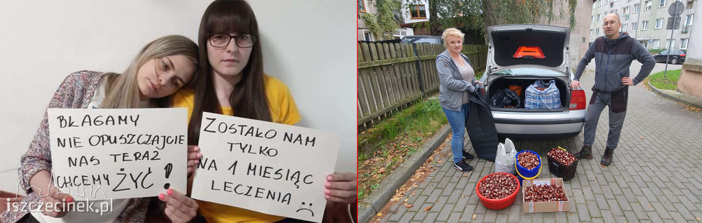 MukoNiedzielki walczą o życie. Pomóc może zbiórka… kasztanów!