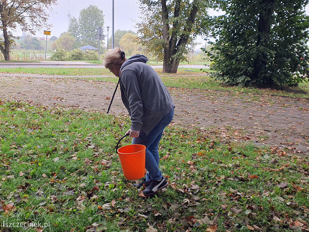 MukoNiedzielki walczą o życie. Pomóc może zbiórka… kasztanów!