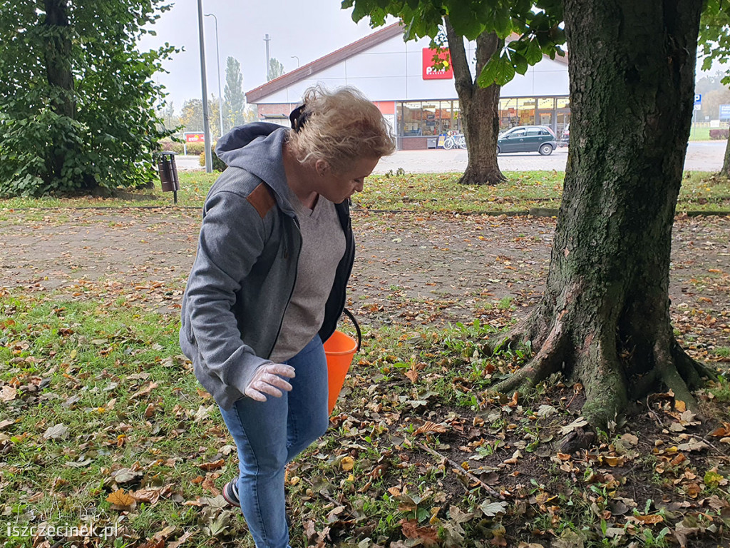 MukoNiedzielki walczą o życie. Pomóc może zbiórka… kasztanów!