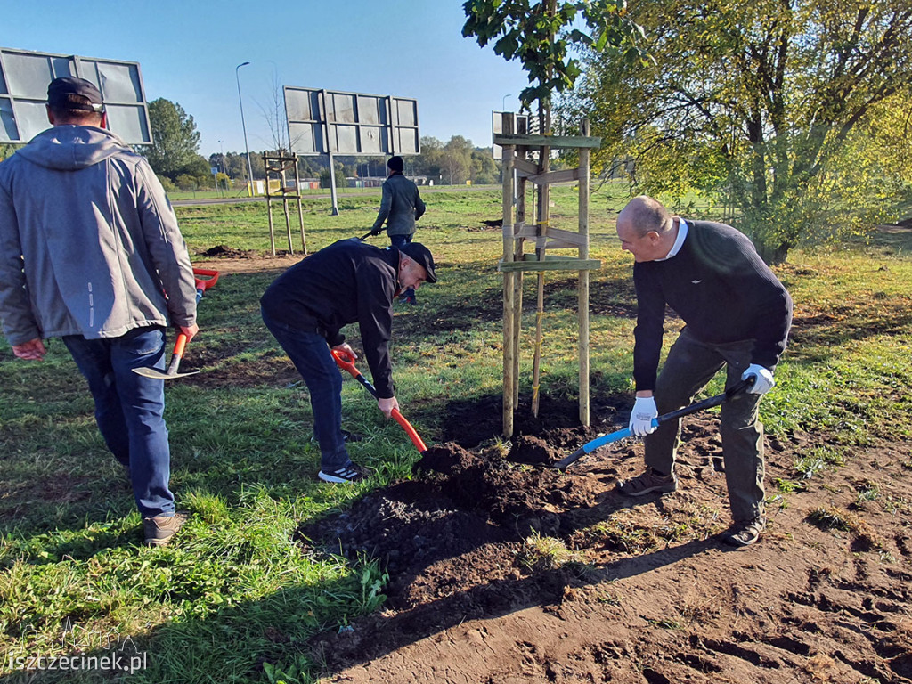 Kronodrzewko po raz dwudziesty. Nad Trzesieckiem znów przybyło zieleni.