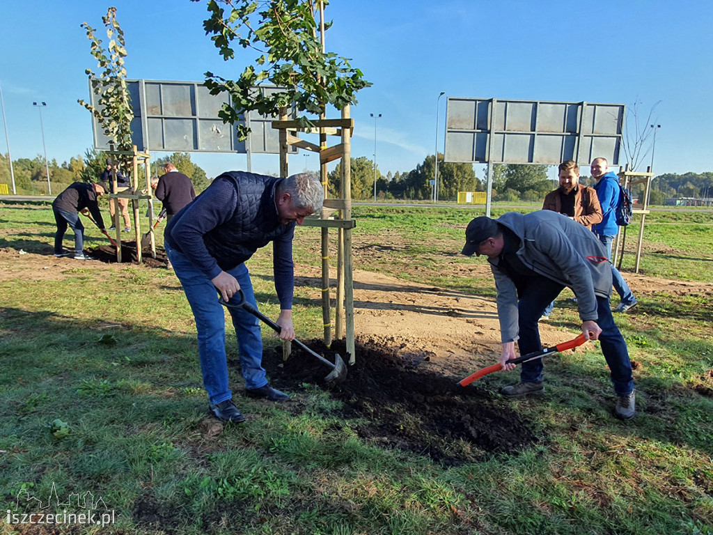 Kronodrzewko po raz dwudziesty. Nad Trzesieckiem znów przybyło zieleni.