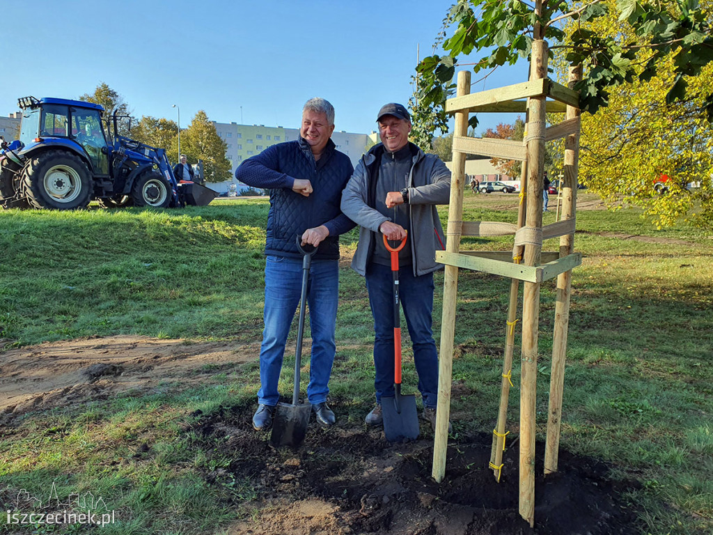 Kronodrzewko po raz dwudziesty. Nad Trzesieckiem znów przybyło zieleni.