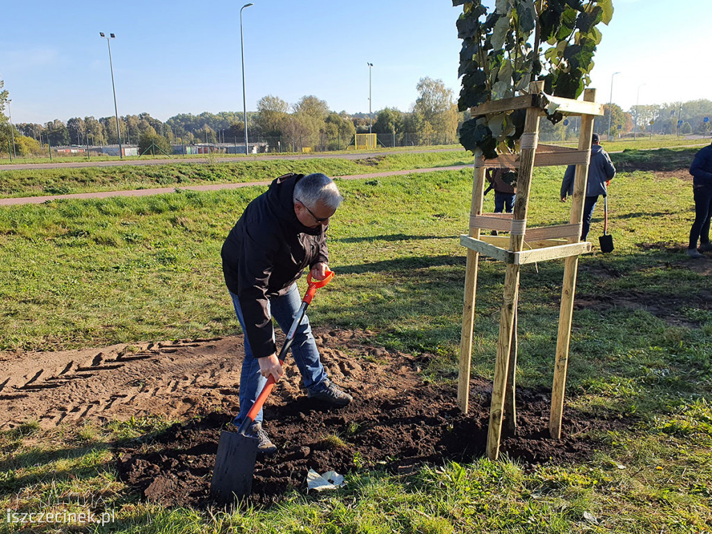 Kronodrzewko po raz dwudziesty. Nad Trzesieckiem znów przybyło zieleni.