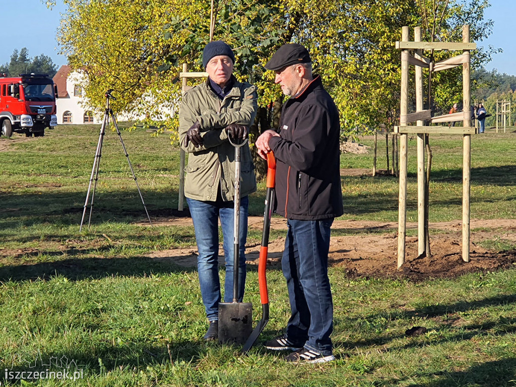 Kronodrzewko po raz dwudziesty. Nad Trzesieckiem znów przybyło zieleni.