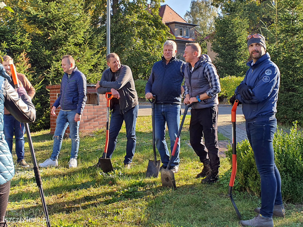 Kronodrzewko po raz dwudziesty. Nad Trzesieckiem znów przybyło zieleni.