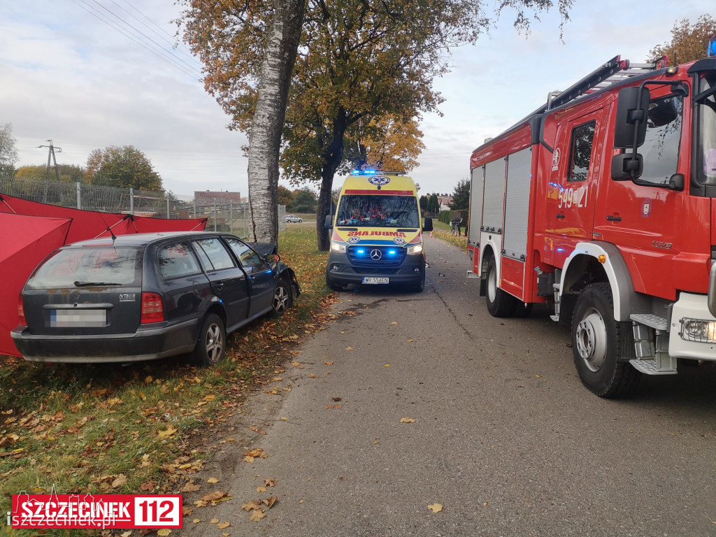 Samochód uderzył w drzewo. Kierowca zginął na miejscu