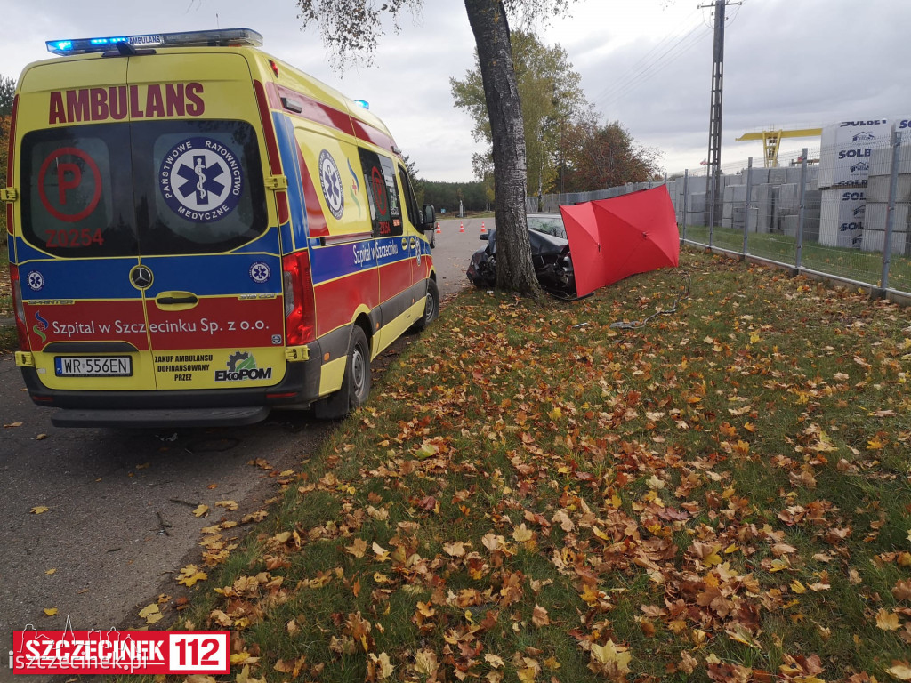 Samochód uderzył w drzewo. Kierowca zginął na miejscu