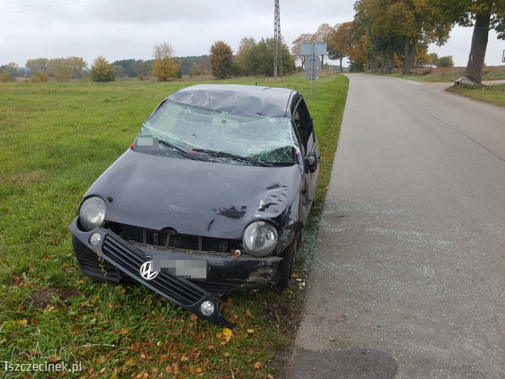 Volkswagen uderzył w drzewo. Kierowca miał sporo szczęścia