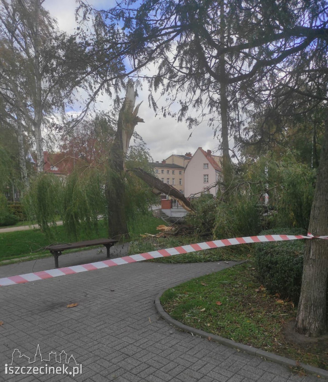 Porywisty wiatr szaleje nad regionem. Strażacy mają pełne ręce roboty