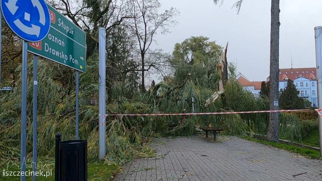 Porywisty wiatr szaleje nad regionem. Strażacy mają pełne ręce roboty