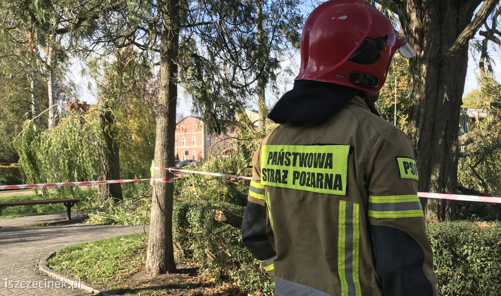 Porywisty wiatr szaleje nad regionem. Strażacy mają pełne ręce roboty