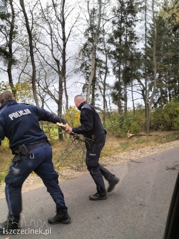 Porywisty wiatr szaleje nad regionem. Strażacy mają pełne ręce roboty