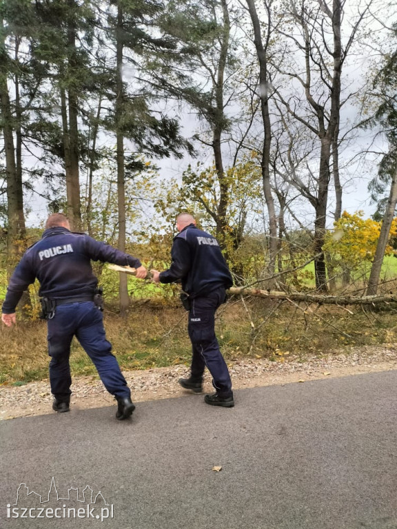 Porywisty wiatr szaleje nad regionem. Strażacy mają pełne ręce roboty